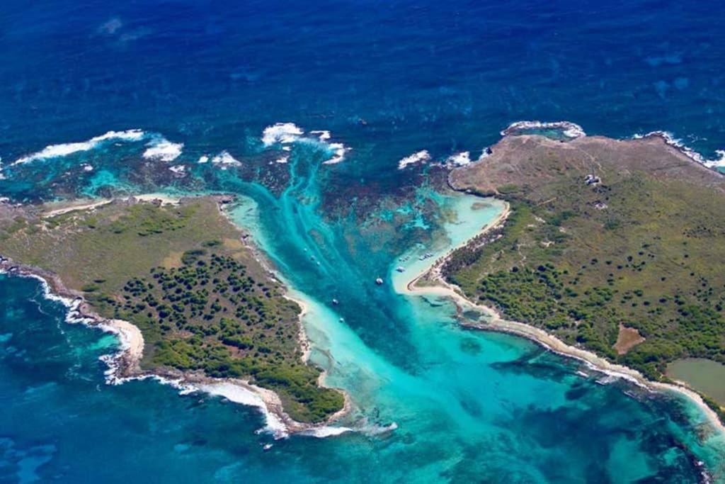 Studio Avec Grande Piscine, Plage Cannelle Caraibes Saint-Francois  Bagian luar foto
